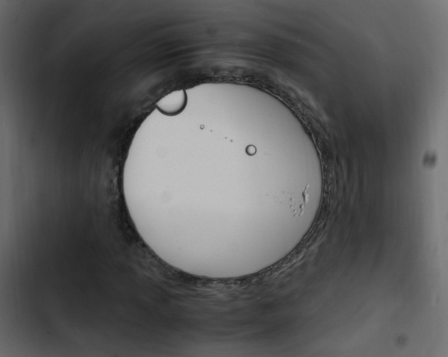 X0000103901013200809191050
