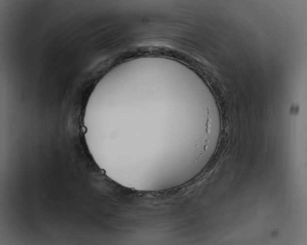 X0000103901014200809191050