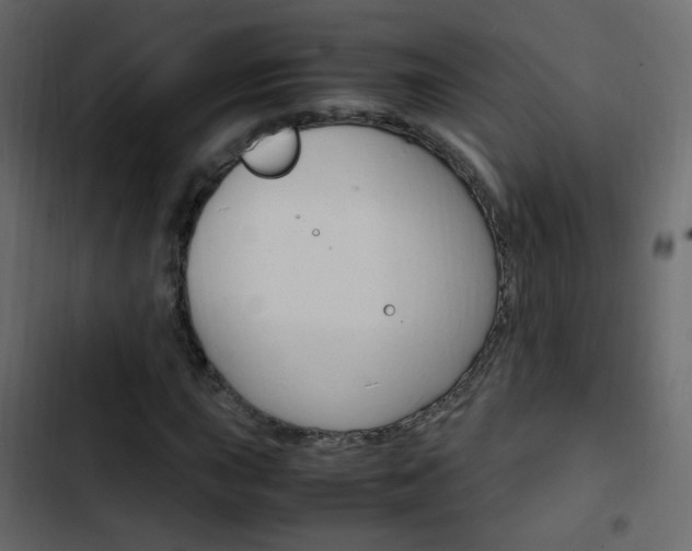 X0000103901015200809191050