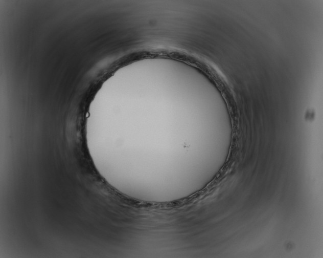 X0000103901016200809191050