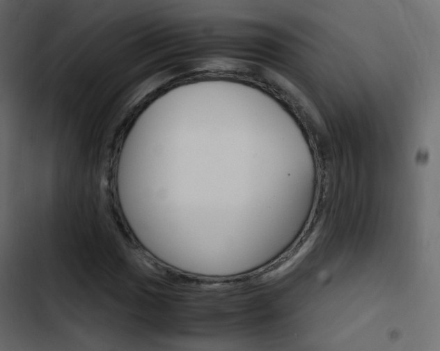 X0000103901017200809191050