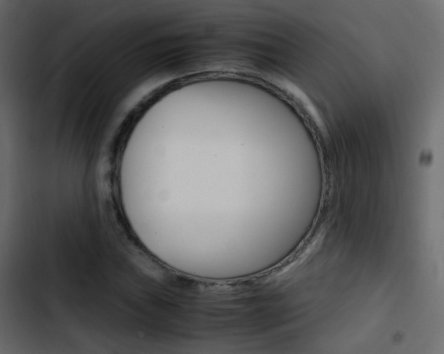 X0000103901019200809191050
