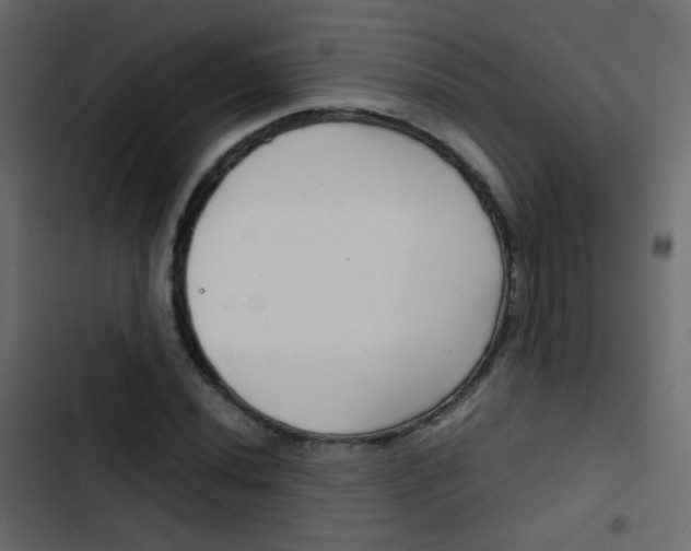 X0000103901020200809191050