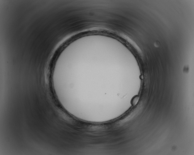 X0000103901021200809191050