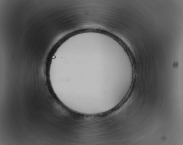 X0000103901022200809191050