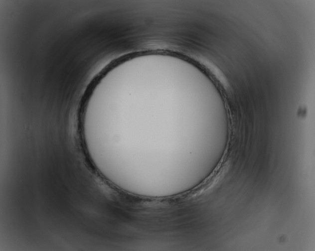 X0000103901023200809191050