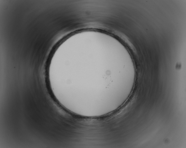 X0000103901024200809191050