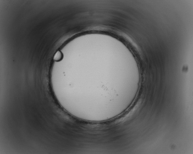 X0000103901025200809191050