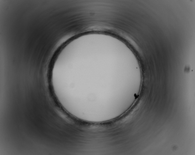 X0000103901026200809191050