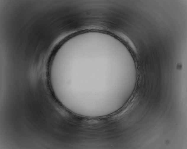 X0000103901027200809191050