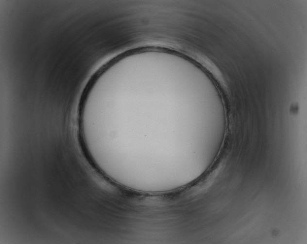 X0000103901028200809191050