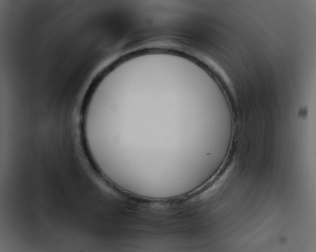X0000103901029200809191050