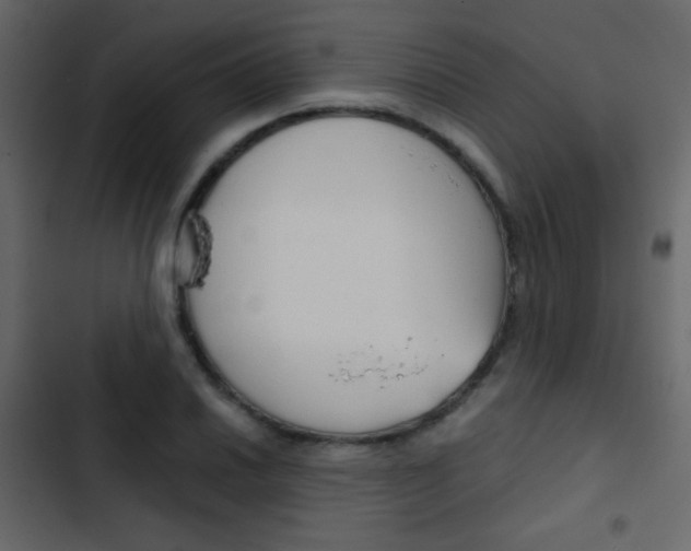 X0000103901030200809191050