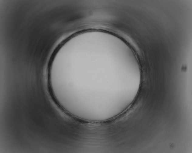 X0000103901032200809191050