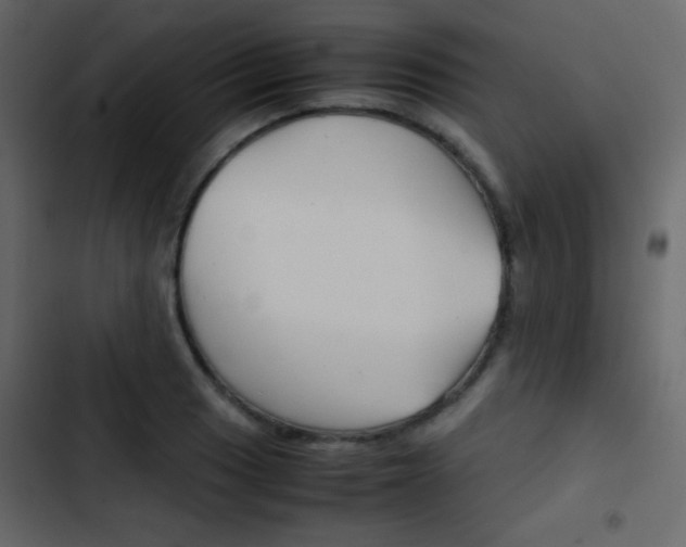 X0000103901033200809191051
