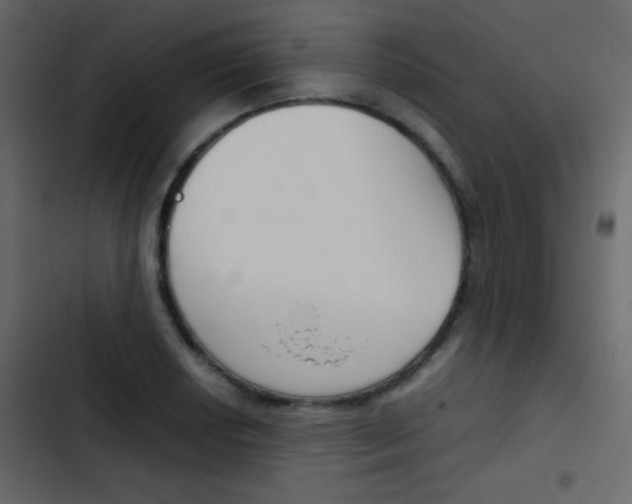 X0000103901034200809191051