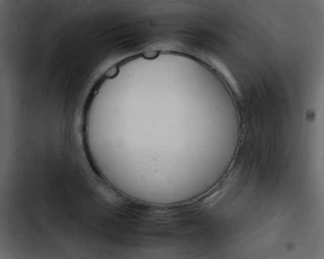 X0000103901035200809191051