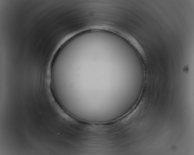 X0000103901036200809191051