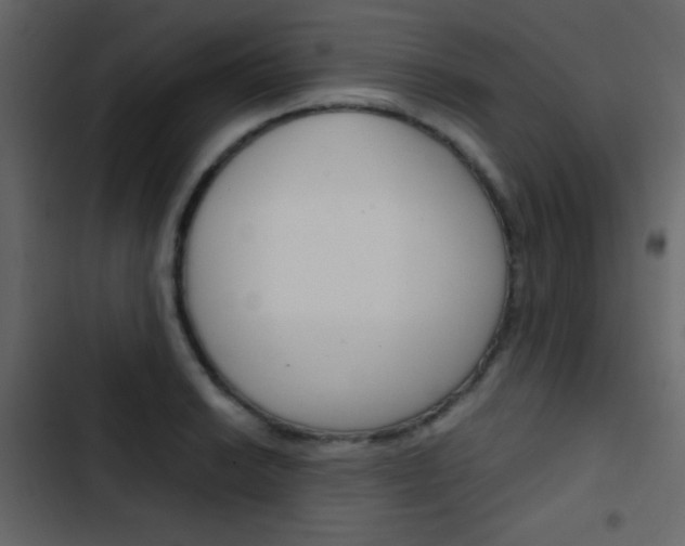 X0000103901038200809191051