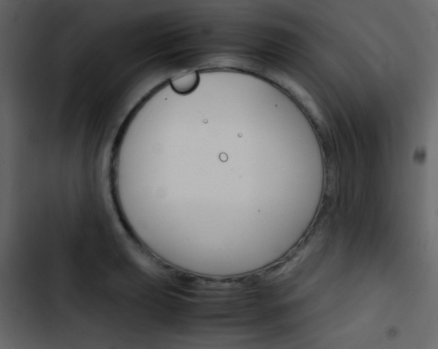 X0000103901039200809191051