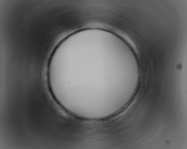X0000103901040200809191051