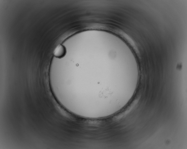 X0000103901041200809191051