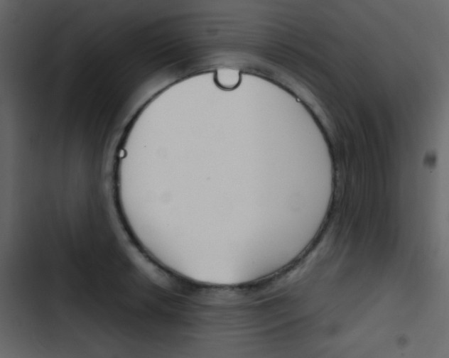 X0000103901042200809191051
