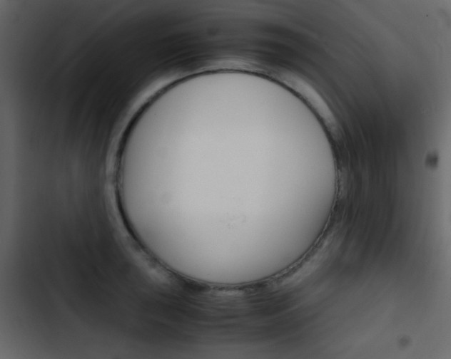 X0000103901043200809191051