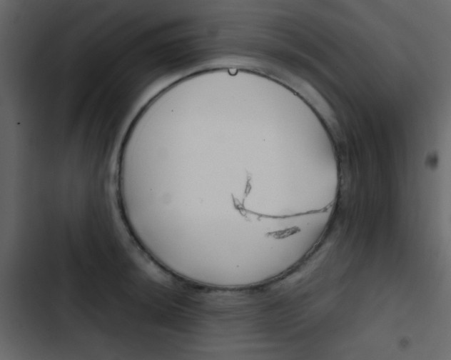 X0000103901044200809191051