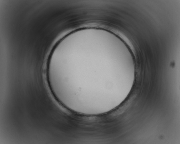 X0000103901045200809191051