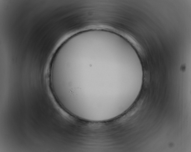 X0000103901046200809191051