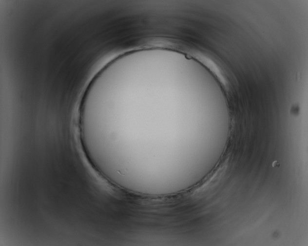 X0000103901047200809191051