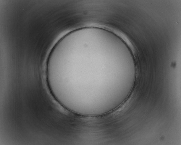 X0000103901048200809191051
