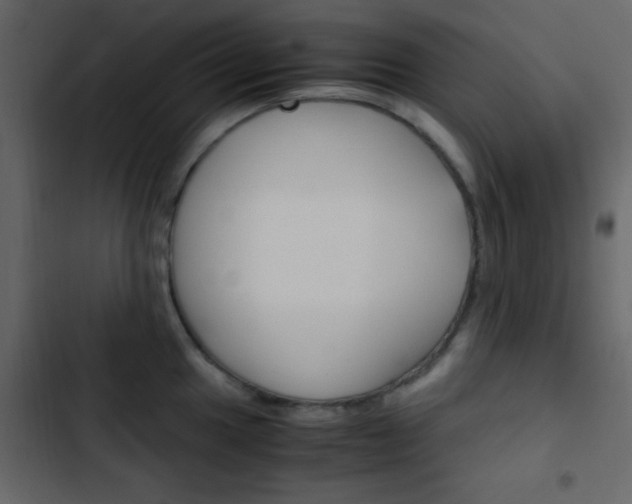 X0000103901049200809191051