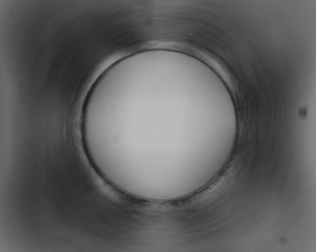 X0000103901050200809191051
