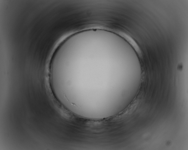 X0000103901051200809191051