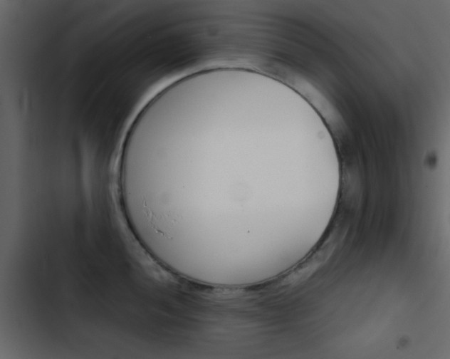 X0000103901052200809191051