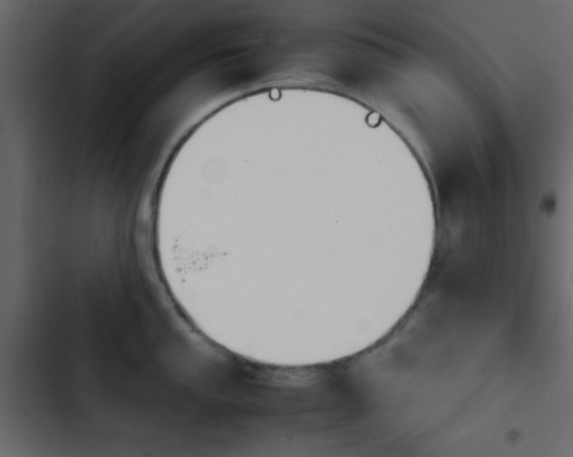 X0000103901053200809191051