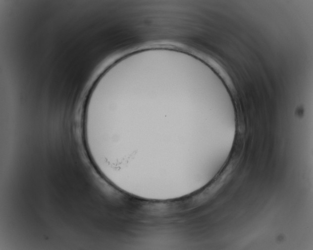 X0000103901054200809191051