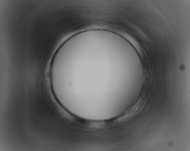 X0000103901055200809191051