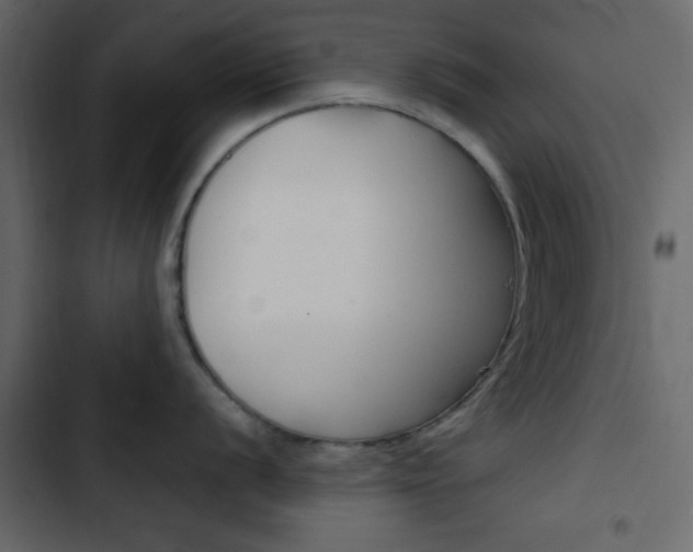 X0000103901056200809191051