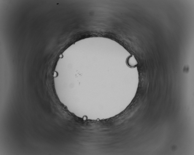 X0000103901057200809191050