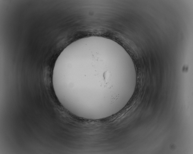 X0000103901058200809191050
