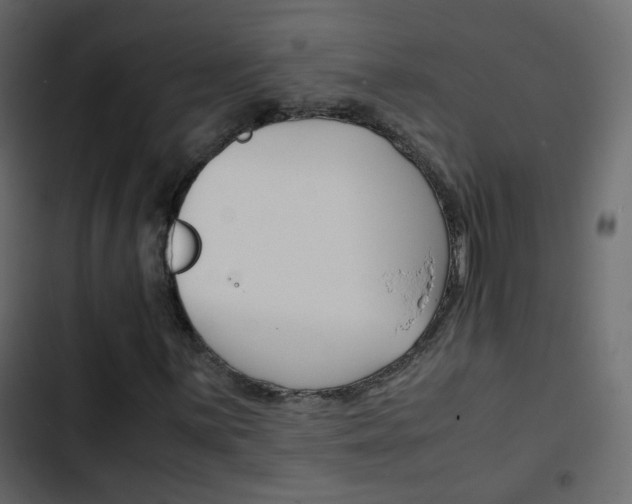 X0000103901059200809191050