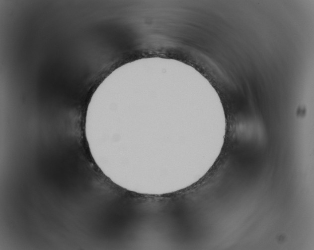 X0000103901060200809191050