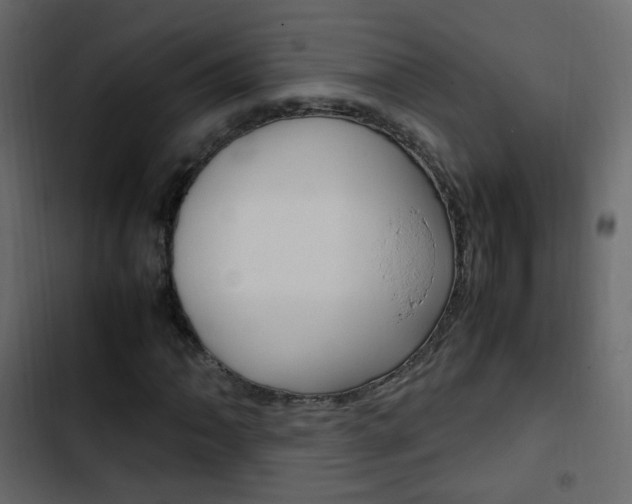 X0000103901062200809191050