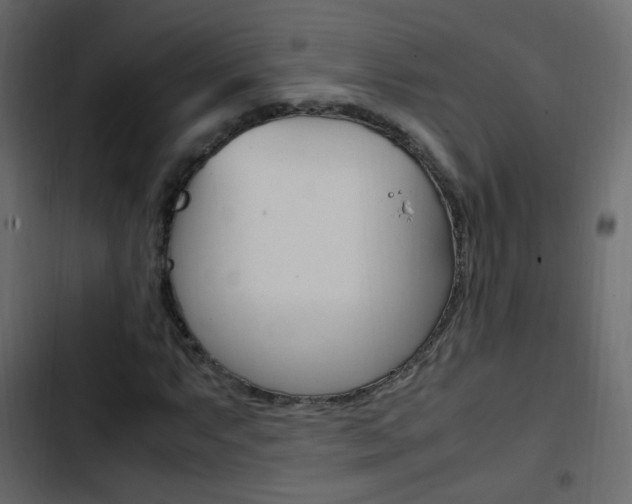 X0000103901063200809191050