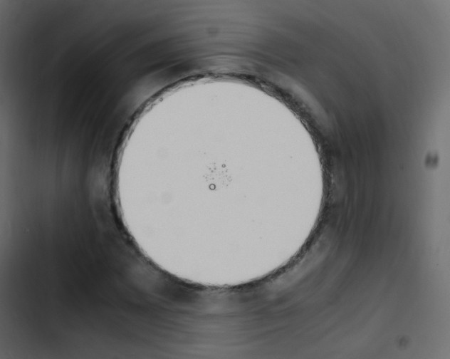 X0000103901065200809191050