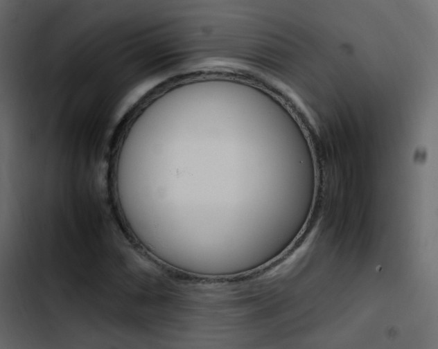 X0000103901066200809191050