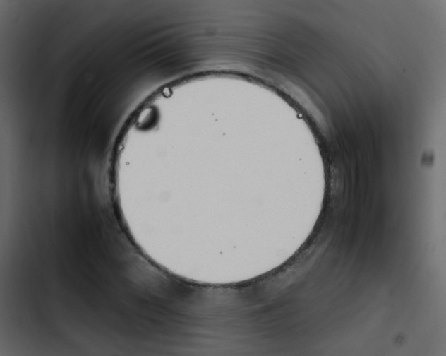 X0000103901068200809191050